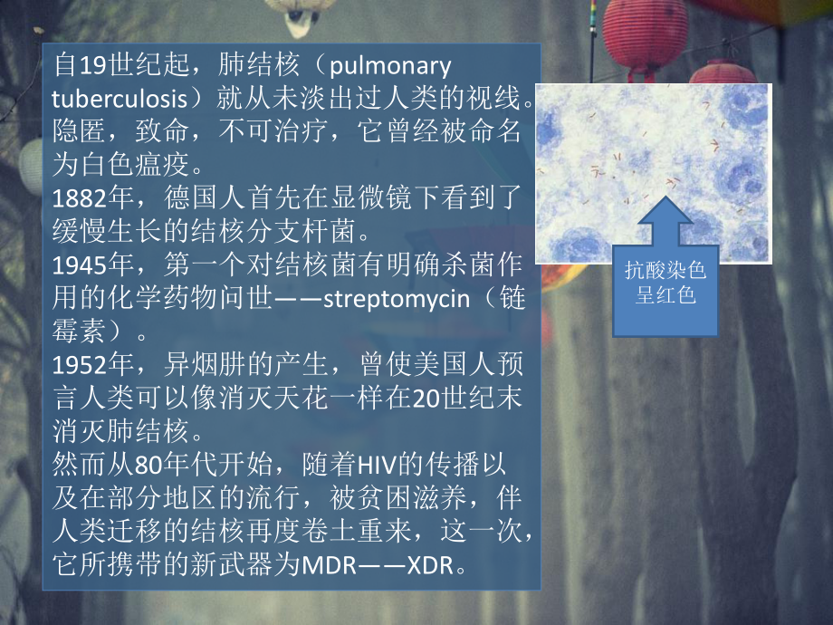 肺结核的疫情和化学治疗课件.ppt_第3页