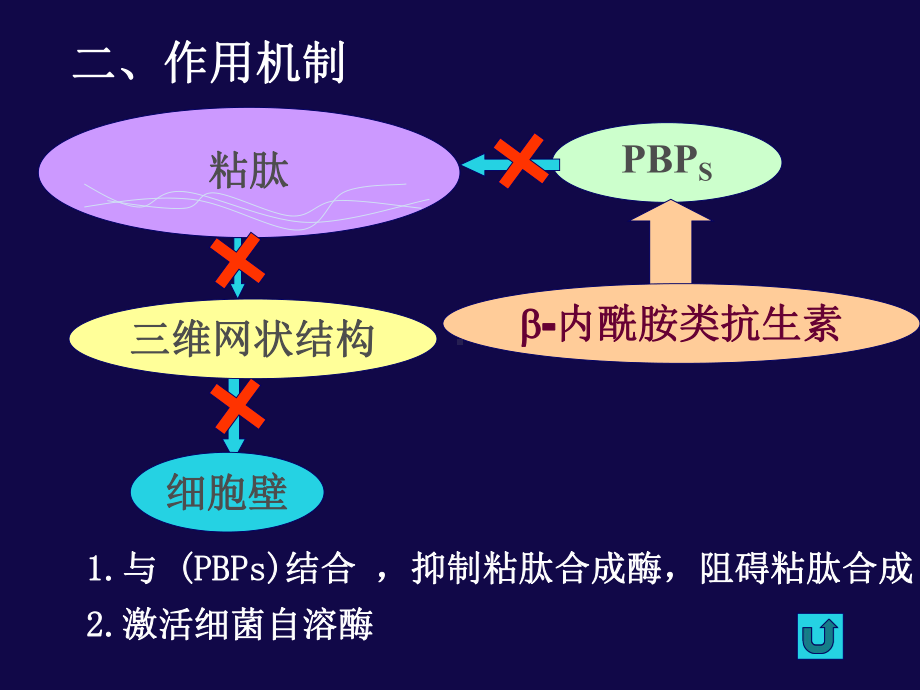 内酰胺类抗生素课件.ppt_第3页