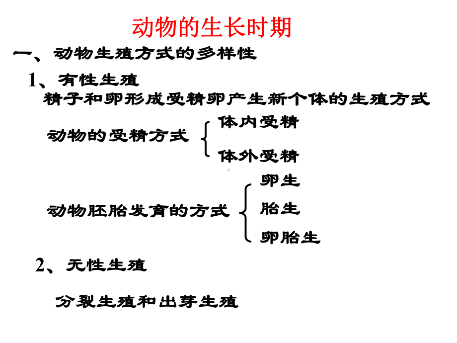 动物的生命周期学生版课件.ppt_第2页