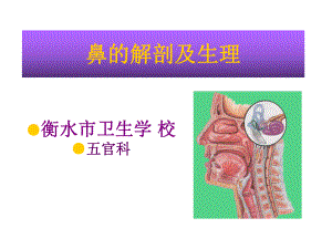 五官科护理学鼻的解剖及生理课件.ppt