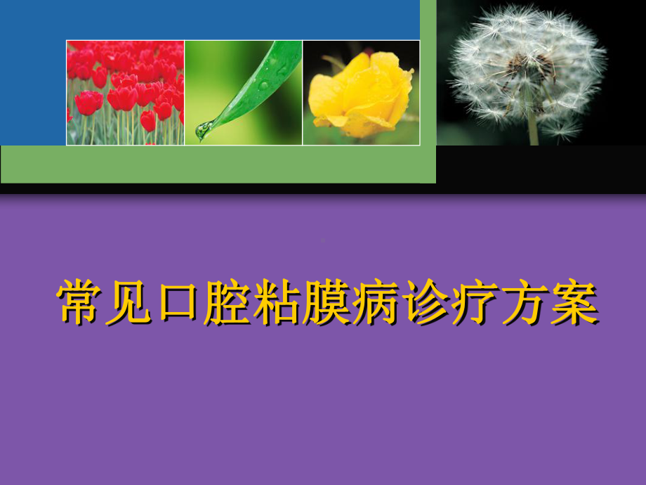 常见口腔粘膜病诊疗方案1课件.ppt_第1页