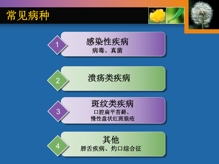 常见口腔粘膜病诊疗方案1课件.ppt_第3页