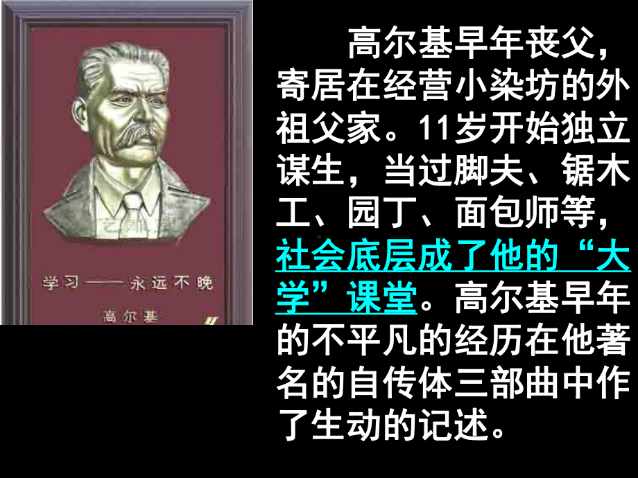 人教版选修《外国小说欣赏》《丹柯》-课件.ppt_第3页