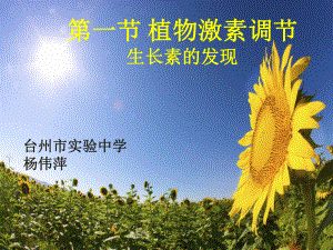 生长素的发现课件.ppt