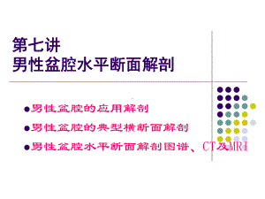 断面盆腔男课件.ppt