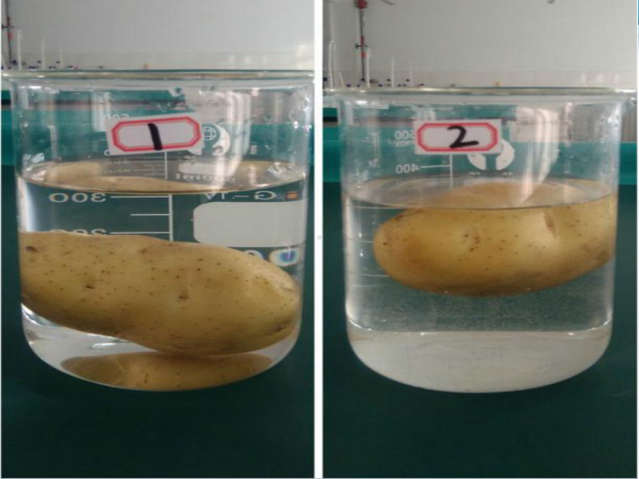 五年级下册科学课件17马铃薯在液体中的沉浮教科版.ppt_第2页
