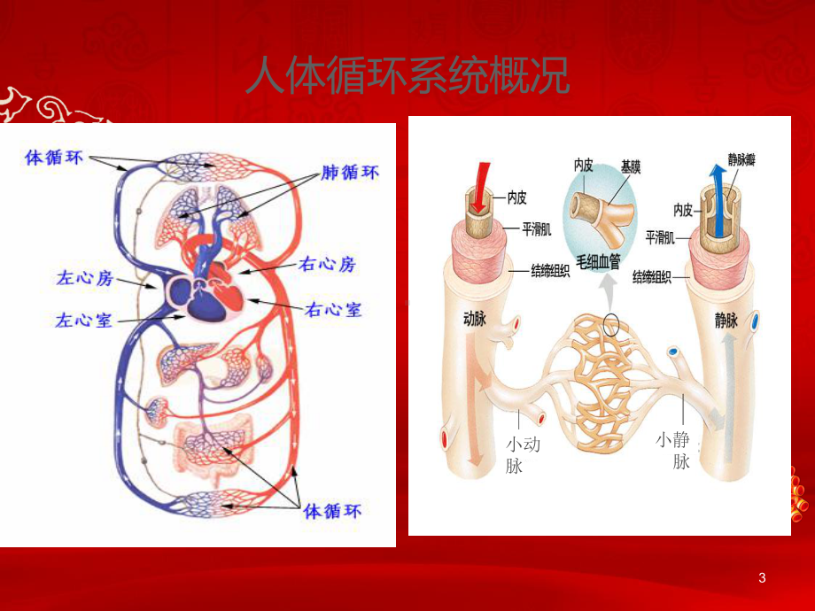 心血管疾病与治疗培训课件.ppt_第3页