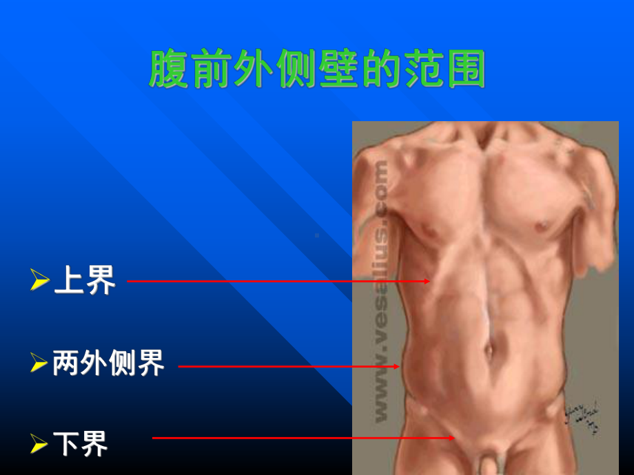 腹部切口和腹部手术课件.ppt_第3页