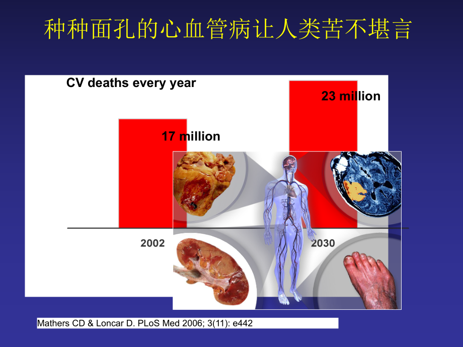 心血管病传统及新危险因素评价课件.ppt_第2页