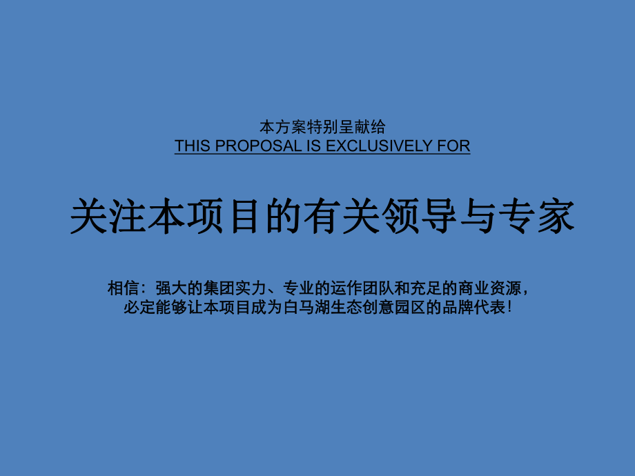 城市国际会展商圈运营方案.ppt_第2页