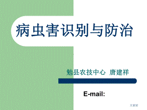 病虫害识别与防治课件.ppt