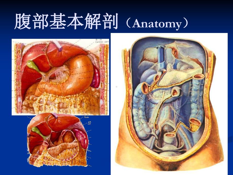 孙君军急腹症河南科技大学第一附属医院课件.ppt_第2页