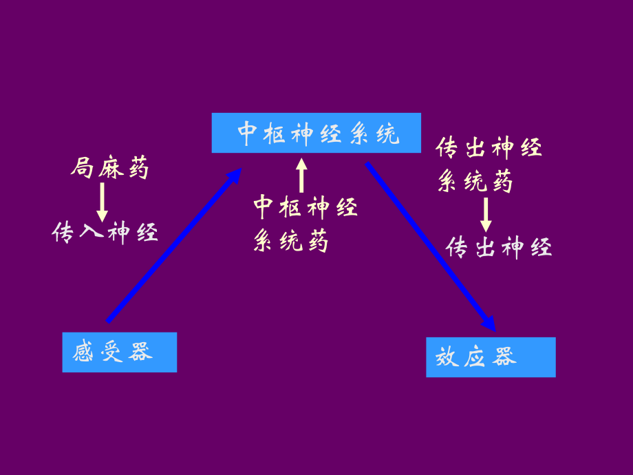 件第十章局部麻醉药1课件.ppt_第2页