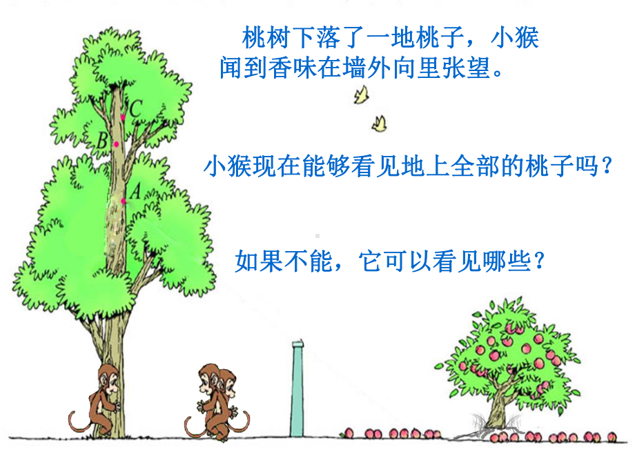 新北师大版小学数学六年级《观察范围》课件.ppt_第3页