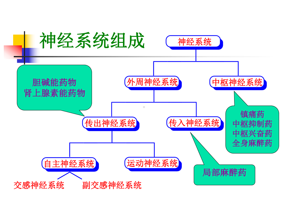 第三章拟胆碱药和抗胆碱药课件讲义.ppt_第1页