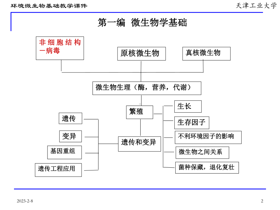 第一章病毒课件.ppt_第2页