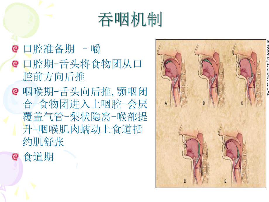 老年患者进食安全护理(同名210)课件.ppt_第3页