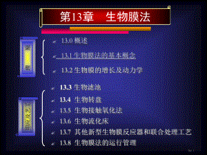 第13章生物膜法概述及原理课件.ppt