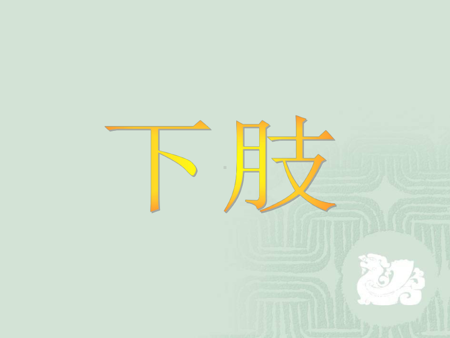 下肢骨骼课件.ppt_第2页