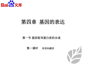 基因指导蛋白质的合成课件生物高二必修二第四章第一节人教版讲义.ppt