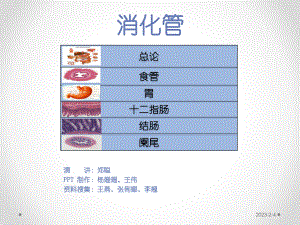 实验7消化管课件.ppt