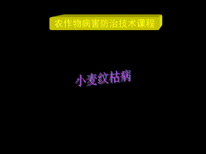 病原有性世代担子菌亚门禾谷角担菌2无性世代半知菌亚门禾谷丝课件.ppt