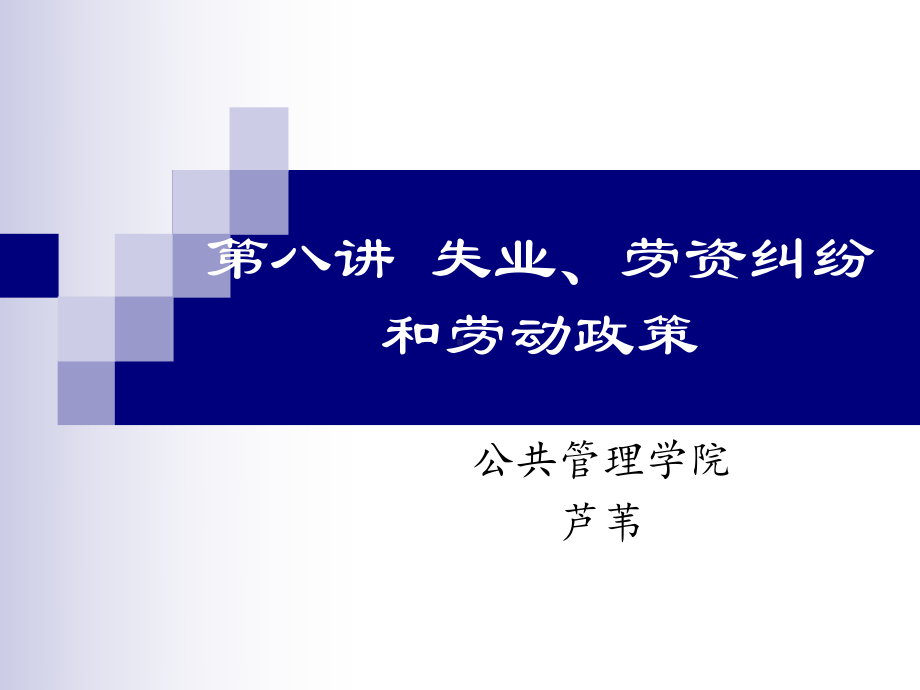 公共管理学第八讲课件.ppt_第1页