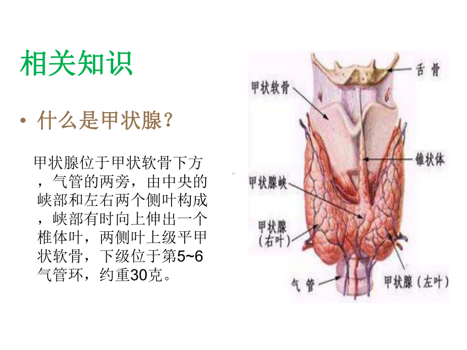 甲状腺腺瘤护理查房课件.ppt_第3页