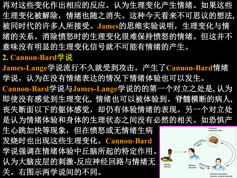 感觉系统把环境信息传给大脑课件.ppt_第2页