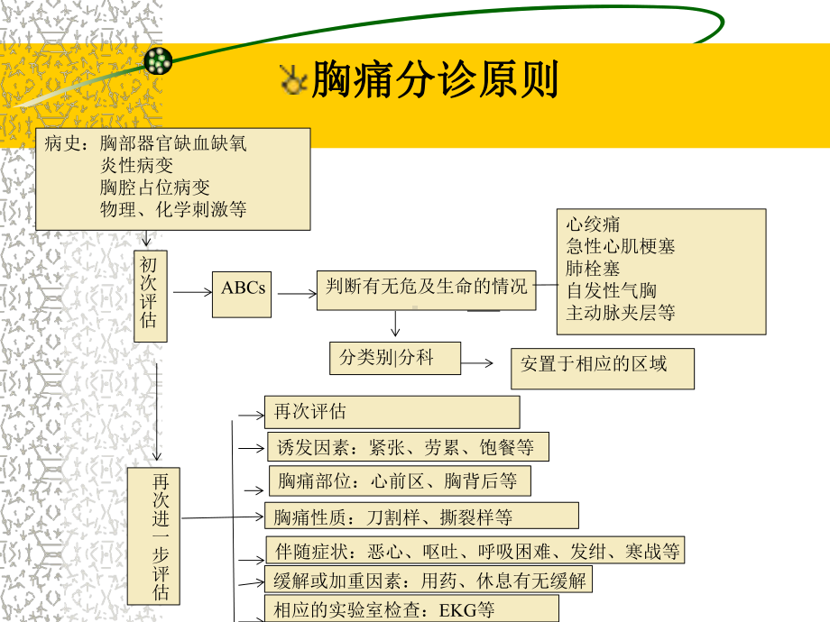 急性胸痛的护理 课件.ppt_第2页