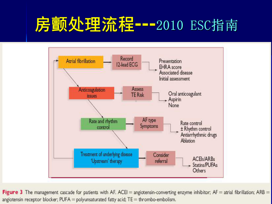 急诊抗心律失常药物应用策略课件.ppt_第2页