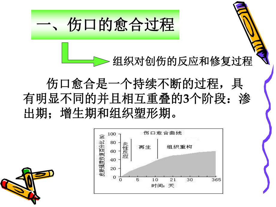 伤口换药技术培训教材课件.ppt_第2页