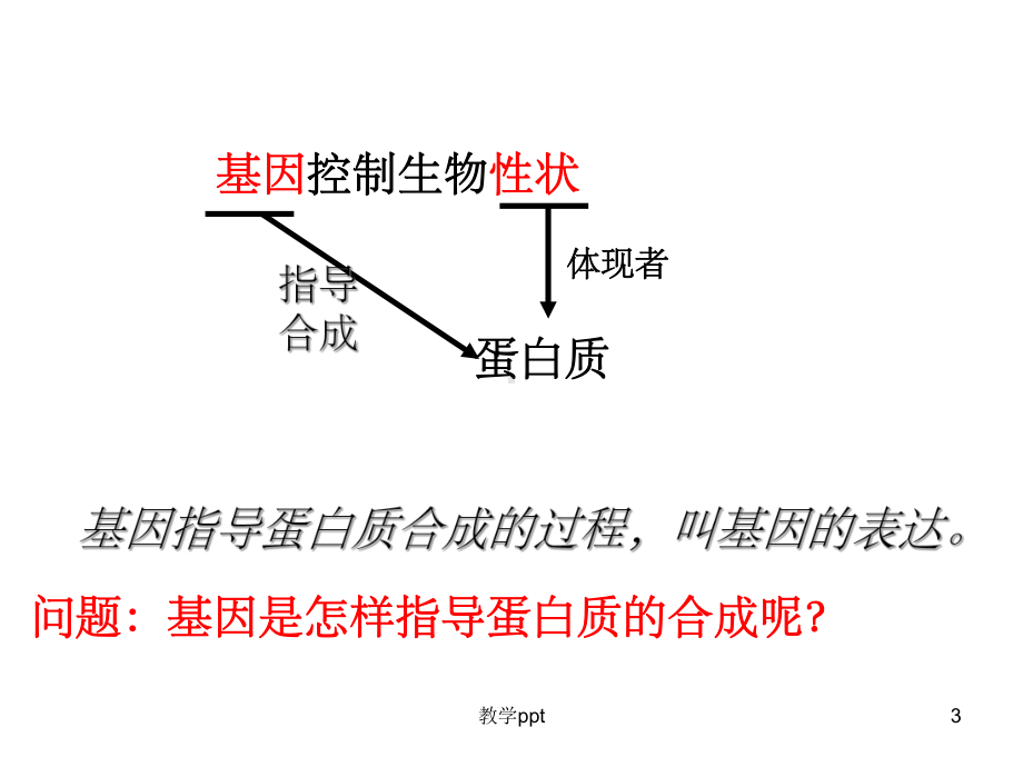 人教版教学课件基因指导蛋白质的合成.ppt_第3页