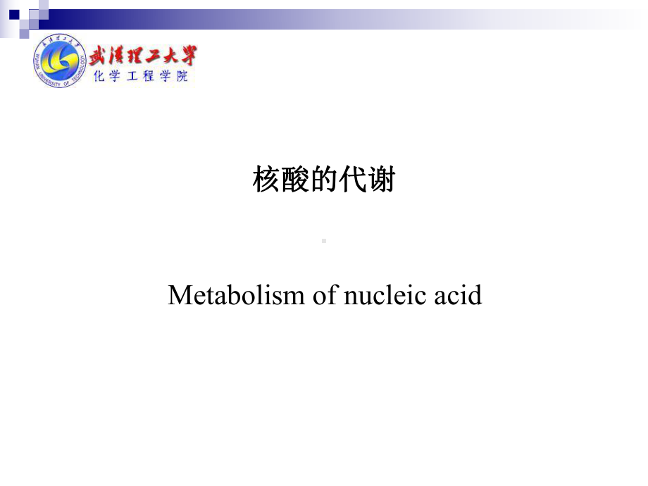 生物化学（武汉理工大学）13核酸的代谢－13课件.ppt_第3页