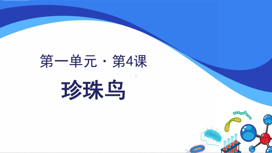 五年级语文上册课件：珍珠鸟.ppt_第1页