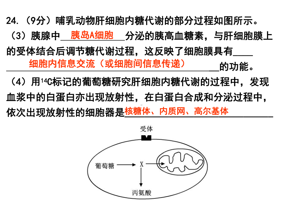 生物6年高考题知识点汇编课件：体温调节、水盐调节和血糖调节（终稿）.ppt_第3页