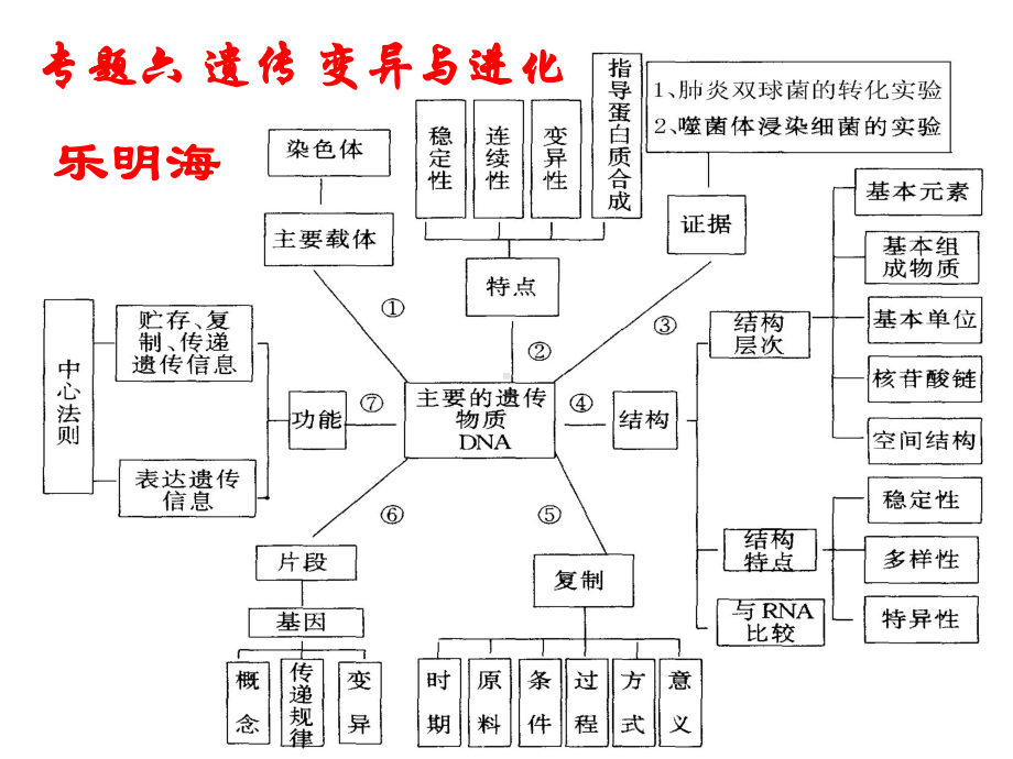 实例产物碱基互补原料模板不同层次遗传物质组成基因的分离自由课件.ppt_第1页