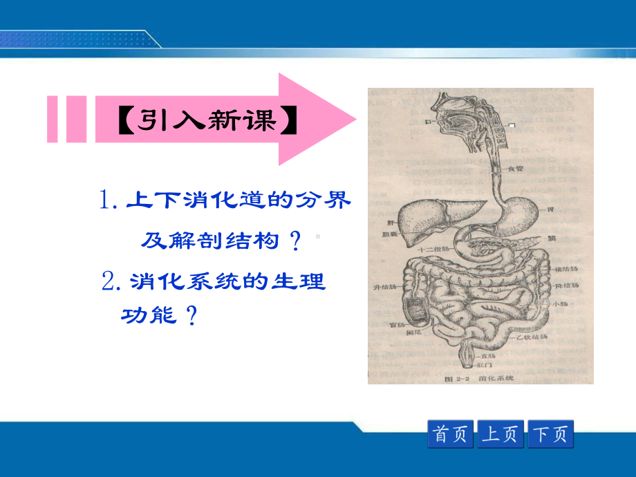 恶心、呕吐、呕血、黑粪、便血课件.ppt_第2页