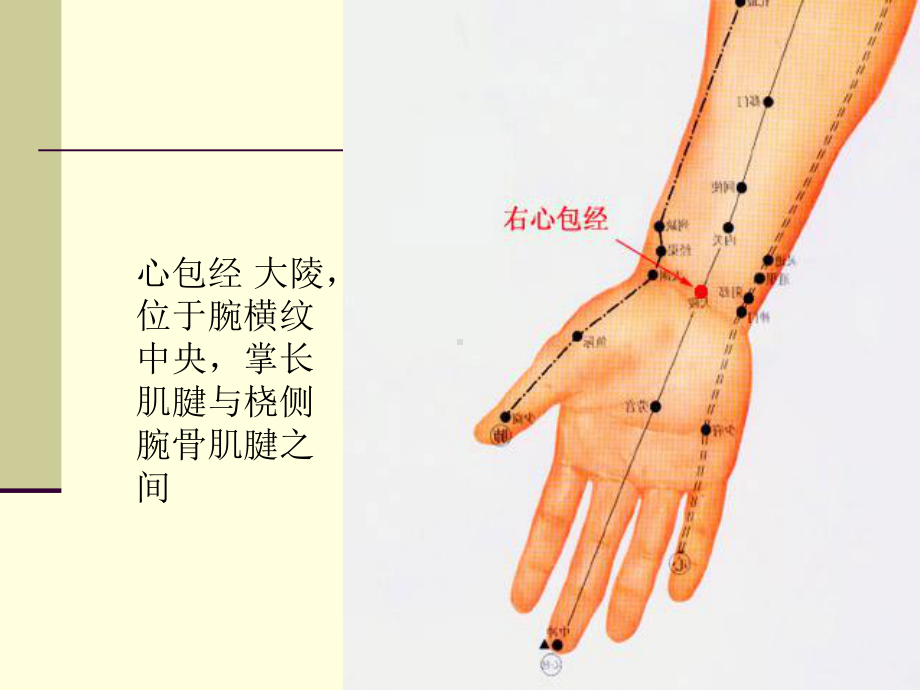 人体经络细图课件.ppt_第3页