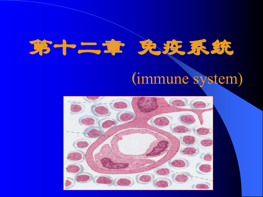 第九章免疫系统课件.ppt_第1页