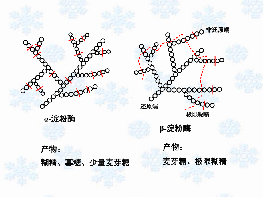 生物化学糖代谢工（ ）课件.ppt_第3页