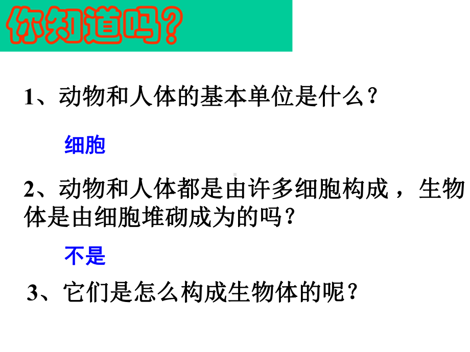 公开课动物体的结构层次课件.pptx_第2页