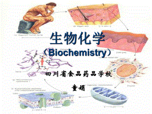 第一章生物化学与生化药物课件.ppt