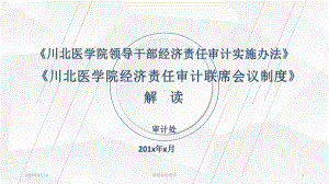 医学院领导干部经济责任审计实施办法课件.pptx