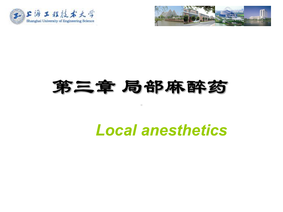 局部麻醉药2010课件.ppt_第1页