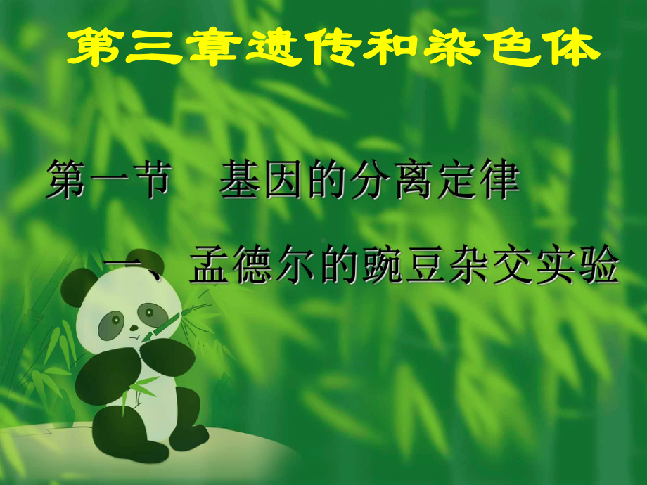 第一节基因的分离定律课件.ppt_第2页