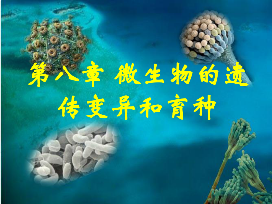 第八章微生物的遗传变异和育种1课件.ppt_第1页