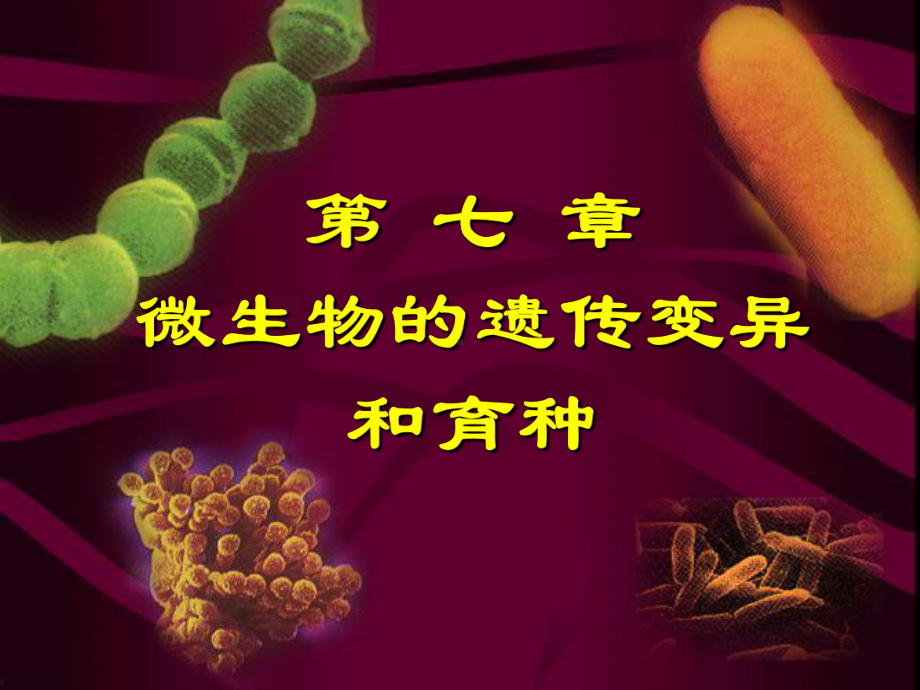 第九章微生物的遗传变异和育种课件.ppt_第1页