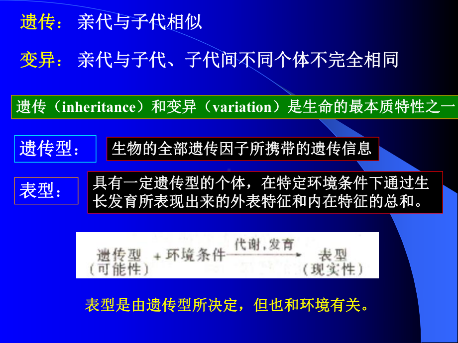 第九章微生物的遗传变异和育种课件.ppt_第3页