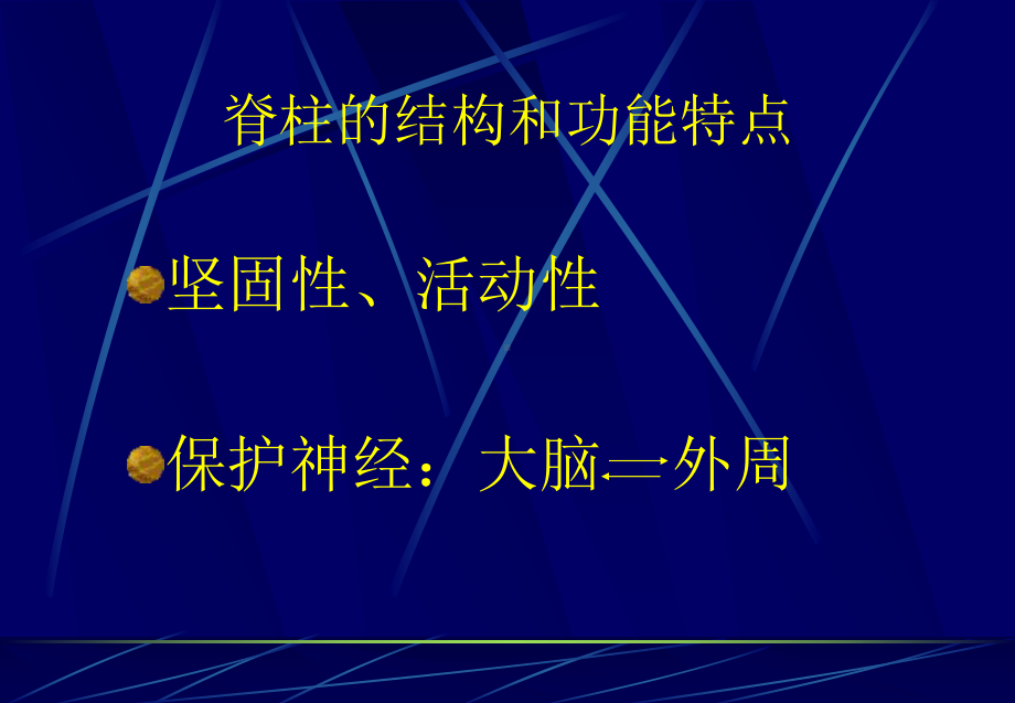 人工椎间盘理论设计与原理课件.pptx_第2页